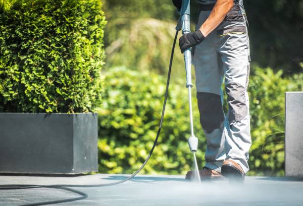 Best Solar Panel Cleaning  in Irmo, SC